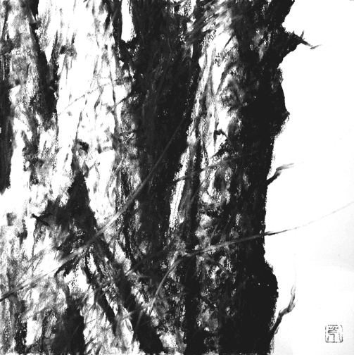 image of a tree drawing